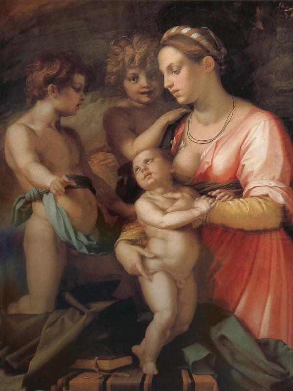 Andrea del Sarto Kindly china oil painting image